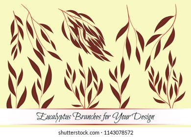 Eucalyptus Vector. Decorative Vector Leaves and Branches. Elegant Foliage. Beautiful Floral Element for Wedding Design. Tropical Plants. Flowers Isolated and Eucalyptus Vector for Card, Invitation.