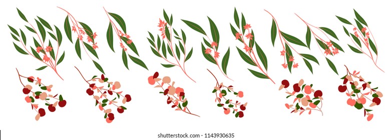 Eukalyptus-Vektorillustration. Dekorative Vektorillustration Blätter und Zweige. Elegantes Blattwerk. Schönes florales Element für Hochzeitsdesign. Tropische Pflanzen. Blumen Einzeln und Eukalyptus Vektorillustration für Karte, Einladung.