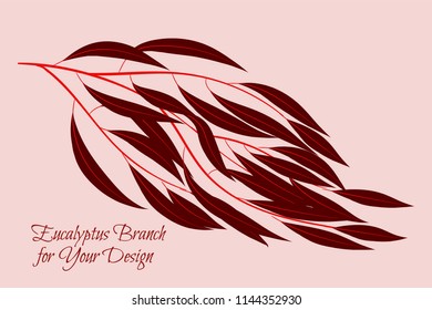 Eucalyptus Vector. Decorative Vector Leaves and Branches. Elegant Foliage. Beautiful Floral Element for Wedding Design. Tropical Plants. Flowers Isolated and Eucalyptus Vector for Card, Invitation.