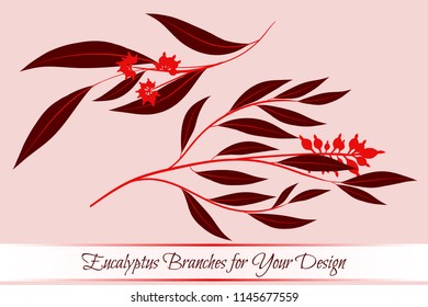 Eucalyptus Vector. Decorative Vector Leaves and Branches. Elegant Foliage. Beautiful Floral Element for Wedding Design. Tropical Plants. Flowers Isolated and Eucalyptus Vector for Card, Invitation.