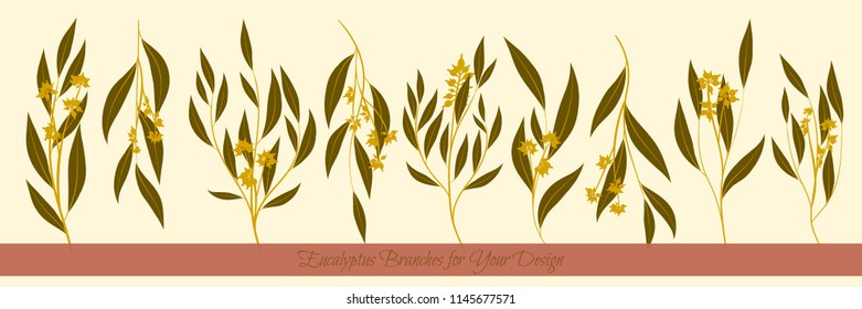 Eucalyptus Vector. Decorative Vector Leaves and Branches. Elegant Foliage. Beautiful Floral Element for Wedding Design. Tropical Plants. Eucalyptus Vector for Card, Invitation, Pattern, Print, Wreath.