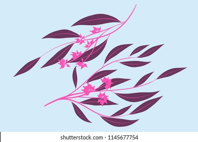 Eucalyptus Vector. Decorative Vector Leaves and Branches. Elegant Foliage. Beautiful Floral Element for Wedding Design. Tropical Plants. Flowers Isolated and Eucalyptus Vector for Card, Invitation.