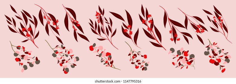Eucalyptus Vector. Decorative Vector Leaves and Branches. Elegant Foliage. Beautiful Floral Element for Wedding Design. Tropical Plants. Flowers Isolated and Eucalyptus Vector for Card, Invitation.
