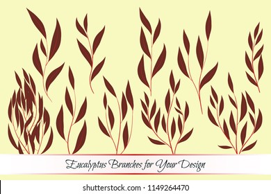 Eucalyptus Vector. Decorative Vector Leaves and Branches. Elegant Foliage. Beautiful Floral Element for Wedding Design. Tropical Plants. Flowers Isolated and Eucalyptus Vector for Card, Invitation.