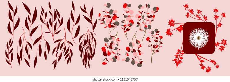 Eucalyptus Vector. Decorative Vector Leaves and Branches. Elegant Foliage. Beautiful Floral Element for Wedding Design. Tropical Plants. Flowers Isolated and Eucalyptus Vector for Card, Invitation.