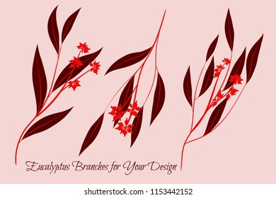 Eucalyptus Vector. Decorative Vector Leaves and Branches. Elegant Foliage. Beautiful Floral Element for Wedding Design. Tropical Plants. Flowers Isolated and Eucalyptus Vector for Card, Invitation.
