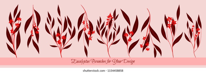 Eucalyptus Vector. Decorative Vector Leaves and Branches. Elegant Foliage. Beautiful Floral Element for Wedding Design. Tropical Plants. Flowers Isolated and Eucalyptus Vector for Card, Invitation.