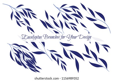 Eucalyptus Vector. Decorative Vector Leaves and Branches. Elegant Foliage. Beautiful Floral Element for Wedding Design. Tropical Plants. Eucalyptus Vector for Card, Invitation, Pattern, Print, Wreath.