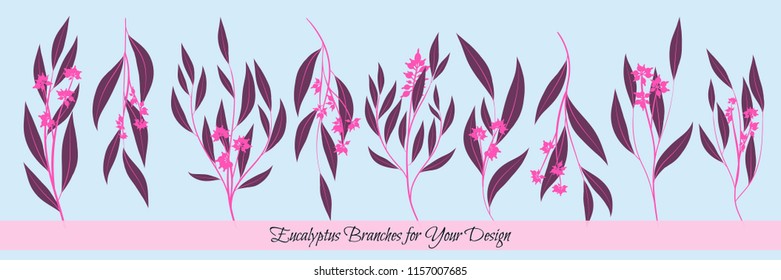 Eucalyptus Vector. Decorative Vector Leaves and Branches. Elegant Foliage. Beautiful Floral Element for Wedding Design. Tropical Plants. Flowers Isolated and Eucalyptus Vector for Card, Invitation.