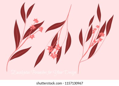 Eucalyptus Vector. Decorative Vector Leaves and Branches. Elegant Foliage. Beautiful Floral Element for Wedding Design. Tropical Plants. Eucalyptus Vector for Card, Invitation, Pattern, Print, Wreath.