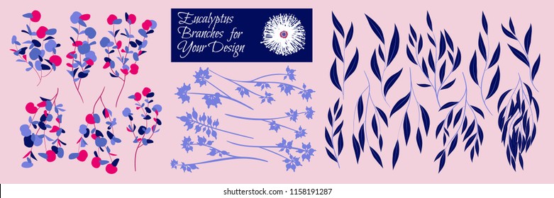 Eucalyptus Vector. Decorative Vector Leaves and Branches. Elegant Foliage. Beautiful Floral Element for Wedding Design. Tropical Plants. Eucalyptus Vector for Card, Invitation, Pattern, Print, Wreath.