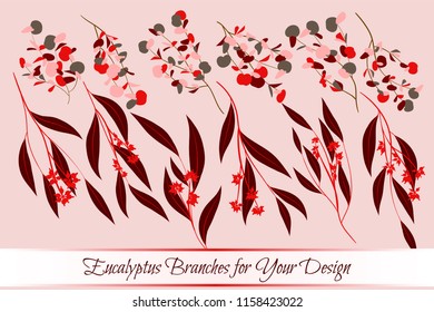 Eucalyptus Vector. Decorative Vector Leaves and Branches. Elegant Foliage. Beautiful Floral Element for Wedding Design. Tropical Plants. Flowers Isolated and Eucalyptus Vector for Card, Invitation.