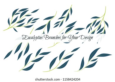 Eucalyptus Vector. Decorative Vector Leaves and Branches. Elegant Foliage. Beautiful Floral Element for Wedding Design. Tropical Plants. Eucalyptus Vector for Card, Invitation, Pattern, Print, Wreath.