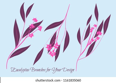 Eucalyptus Vector. Decorative Vector Leaves and Branches. Elegant Foliage. Beautiful Floral Element for Wedding Design. Tropical Plants. Flowers Isolated and Eucalyptus Vector for Card, Invitation.