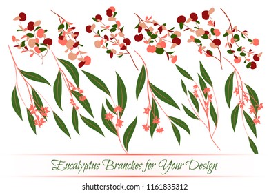 Eucalyptus Vector. Decorative Vector Leaves and Branches. Elegant Foliage. Beautiful Floral Element for Wedding Design. Tropical Plants. Flowers Isolated and Eucalyptus Vector for Card, Invitation.