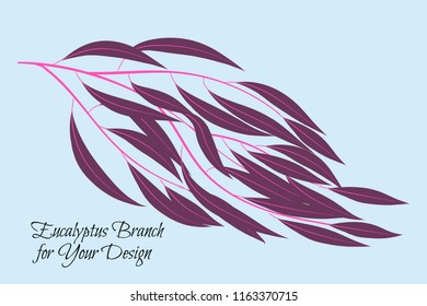 Eucalyptus Vector. Decorative Vector Leaves and Branches. Elegant Foliage. Beautiful Floral Element for Wedding Design. Tropical Plants. Flowers Isolated and Eucalyptus Vector for Card, Invitation.