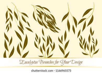 Eucalyptus Vector. Decorative Vector Leaves and Branches. Elegant Foliage. Beautiful Floral Element for Wedding Design. Tropical Plants. Eucalyptus Vector for Card, Invitation, Pattern, Print, Wreath.