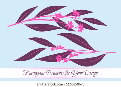 Eucalyptus Vector. Decorative Vector Leaves and Branches. Elegant Foliage. Beautiful Floral Element for Wedding Design. Tropical Plants. Flowers Isolated and Eucalyptus Vector for Card, Invitation.
