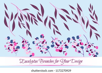 Eucalyptus Vector. Decorative Vector Leaves and Branches. Elegant Foliage. Beautiful Floral Element for Wedding Design. Tropical Plants. Flowers Isolated and Eucalyptus Vector for Card, Invitation.