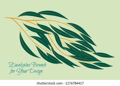 Eucalyptus Vector. Decorative Vector Leaves and Branches. Elegant Foliage. Beautiful Floral Element for Wedding Design. Tropical Plants. Flowers Isolated and Eucalyptus Vector for Card, Invitation.