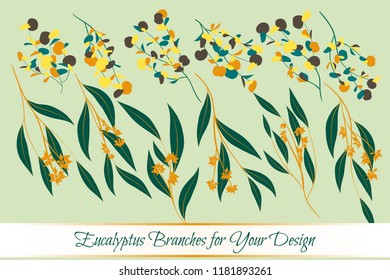 Eucalyptus Vector. Decorative Vector Leaves and Branches. Elegant Foliage. Beautiful Floral Element for Wedding Design. Tropical Plants. Flowers Isolated and Eucalyptus Vector for Card, Invitation.