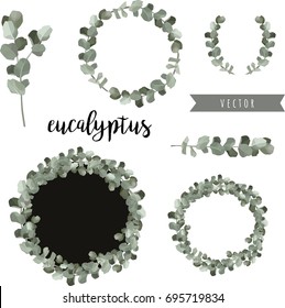 Eucalyptus vector hand drawn elements. Beautiful set for your design.