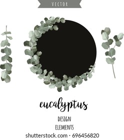 Eucalyptus vector hand drawn stylish elements for your beautiful design.
