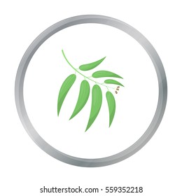 Eucalyptus vector icon in cartoon style for web