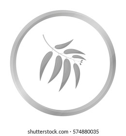 Eucalyptus vector icon in monochrome style for web