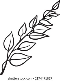 Eucalyptus vector leaf, silhouette on white background. Beautiful eucalyptus branch, botanical illustration, green foliage, floral elements. Summer tropical plants