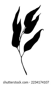 Eucalyptus or willow black leaf silhouette illustration. Long leaves branch hand drawn vector design element. 