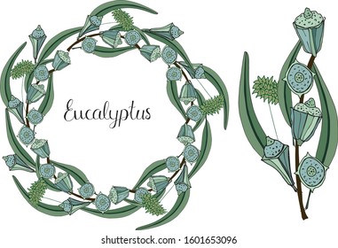 Eucalyptus wreath hand drawn vector illustration isolated on white