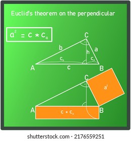 Euclids Theorem About Perpendicularity Right Triangle Stock Vector ...