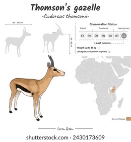 Eudorcas thomsonii Thomsons gazelle geographic range. Can be used for topics like biology, zoology. 