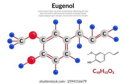 Eugenol, allyl chain-substituted guaiacol, molecular structure formula, ball-and-stick model, suitable for education or chemistry science content. Vector illustration