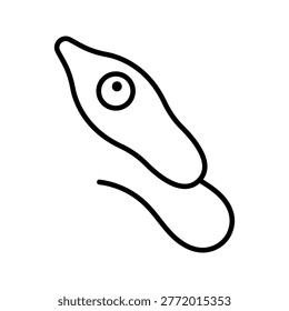 Euglena protist icon. Science and microbiology line symbol. Black and white.