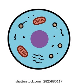 Eukaryotic Cell Structure Diagram For Science