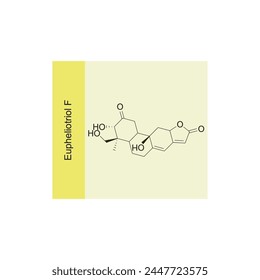 Eupheliotriol F skeletal structure diagram.Diterpenoid compound molecule scientific illustration on yellow background.