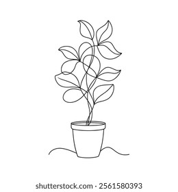 
Euphorbia flower Continuous line art flat vector illustration
