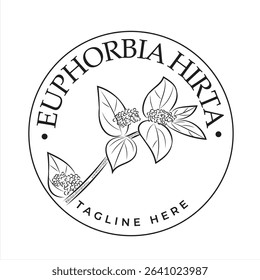 Euphorbia Hirta plant logo, logo design idea for company or product. Drawing vector illustration
