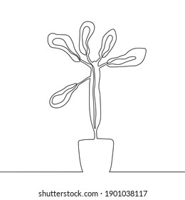 Euphorbia isolated on white background. Continuous one line drawing. Vector illustration in line art style