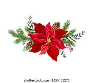 Euphorbia Red Flower Arranged with Fir Tree Twigs and Red Berries Branch Vector Illustration