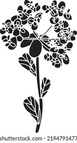 Euphorbia Vector Stencil, black and white