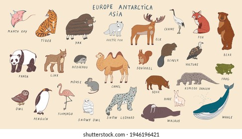 Eurasia animals vector illustrations set print