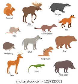 Eurasian animals set with titles. Wildlife of Eurasia. Squirrel, chipmunk, elk, badger, fox, etc. Collection of different species of animals. Isolated vector illustration