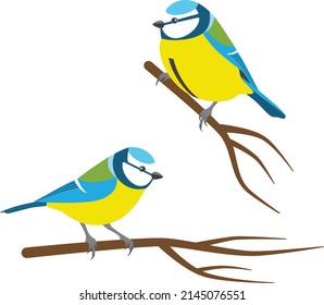 Eurasian blue tits sitting on the branches on white isolated background