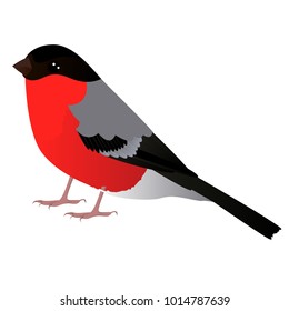 Eurasian Bullfinch Cartoon Bird