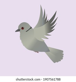 
Eurasian collared dove illustration flying on a light pink background