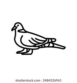 Eurasian Collared Dove Outline Icon, Vector illustration