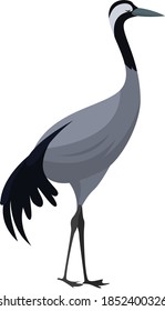 Eurasian crane, illustration, vector on white background